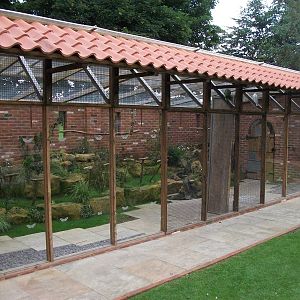 Parrot aviary, 3rd August 2012