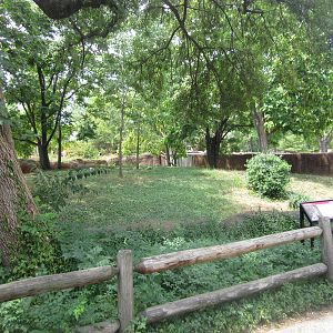 Aug. 2012-Red Kangaroo/Tamar Wallaby exhibit
