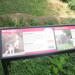 Aug. 2012-Kangaroo/Wallaby signs