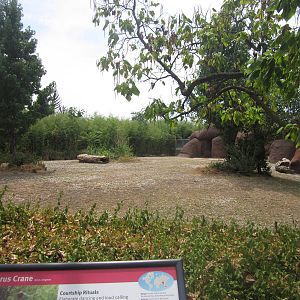 Aug. 2012-Benteng/Sarus Crane exhibit