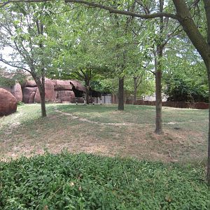 Aug. 2012-Okapi exhibit