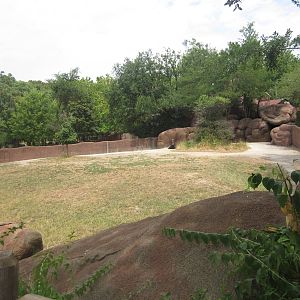 Aug. 2012-Reticulated Giraffe/Ostrich/Gerenuk/Soemmerring's Gazelle exhibit