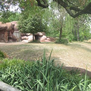 Aug. 2012-Sichuan Takin/Indian Blue Peafowl exhibit