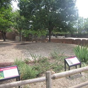 Aug. 2012-Grevy's Zebra exhibits