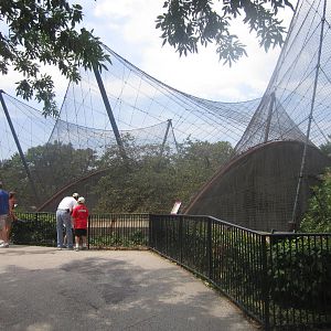 Aug. 2012-Amur/Snow Leopard exhibits