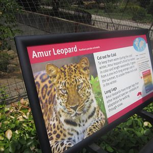 Aug. 2012-Leopard Sign