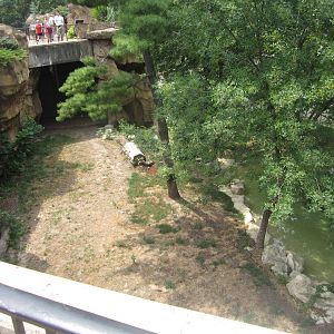 Aug. 2012-Amur Tiger exhibit
