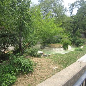 Aug. 2012-Jaguar exhibit