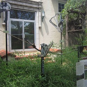 Aug. 2012-Cut-out Lemur Signs