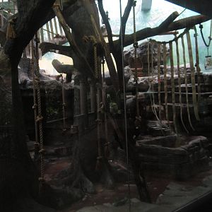 Aug. 2012-Spectacled/Francois' Langur exhibit