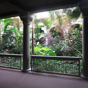 Aug. 2012-Central Garden in the Primate House