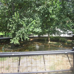 Aug. 2012-North American River Otter exhibit