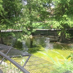 Aug. 2012-Crested Screamer/Black-necked Swan exhibit
