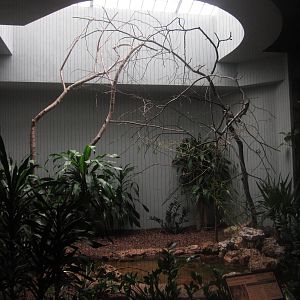 Aug. 2012-Red-billed Blue Magpie exhibit