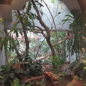 Aug. 2012-Grosbeak Starling/Mariana Fruit Dove/Palawan Peacock Pheasant exh