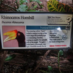 Aug. 2012-Hornbill sign