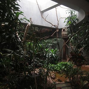 Aug. 2012-Rhinoceros Hornbill exhibit