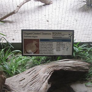 Aug. 2012-Tinamou sign