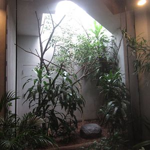 Aug. 2012-Blue-naped Mousebird/Wattled Starling exhibit