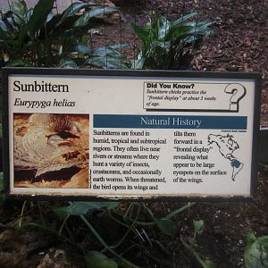 Aug. 2012-Sunbittern sign