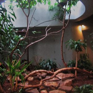 Aug. 2012-Sunbittern exhibit