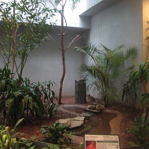 Aug. 2012-Superb Starling/Cape Thick-knee exhibit