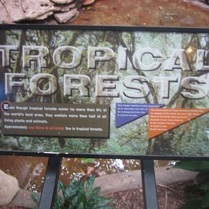 Aug. 2012-Tropical Forests sign