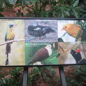 Aug. 2012-Tropical Forests sign