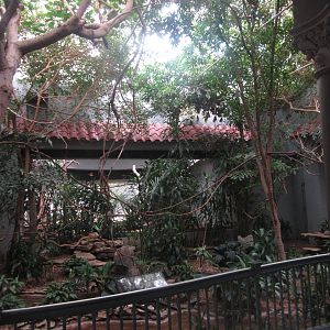 Aug. 2012-Tropical Forest exhibit