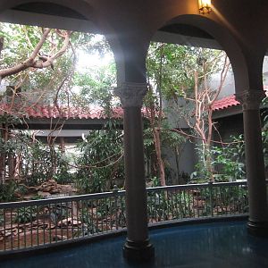 Aug. 2012-Tropical Forest exhibit
