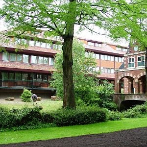 Ostrich Paddock at Avifauna, 04/06/12