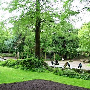 Stork/Crane Exhibit at Avifauna, 04/06/12