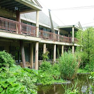 Cuban Aviary Interior at Avifauna, 04/06/12