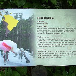 Cuban Aviary Signage at Avifauna, 04/06/12