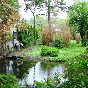Crane Exhibit at Avifauna, 04/06/12