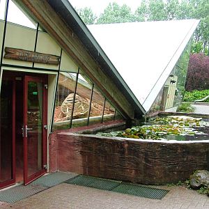 Lorikeet Walkthrough at Avifauna, 04/06/12