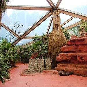 Lorikeet Walkthrough at Avifauna, 04/06/12