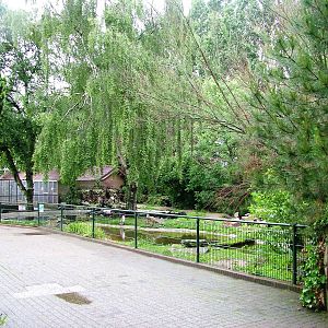 Penguin Pool at Avifauna, 04/06/12