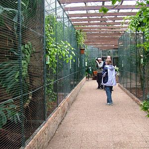 Tropical House Aviaries at Avifauna, 04/06/12