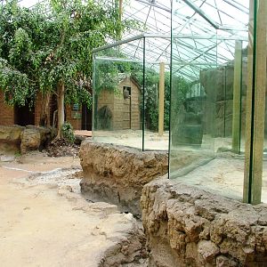 Pantanal Exhibit Construction at Avifauna, 04/06/12