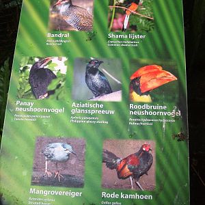 Philippine House Signage at Avifauna, 04/06/12