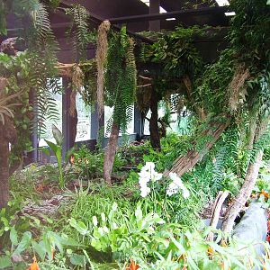 Hummingbird House at Avifauna, 04/06/12