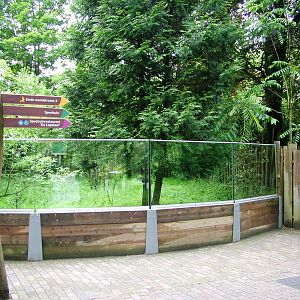 Cassowary Exhibit at Avifauna, 04/06/12