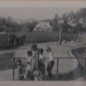 Elephant habitat at the LA Zoo in 1968 or 1969