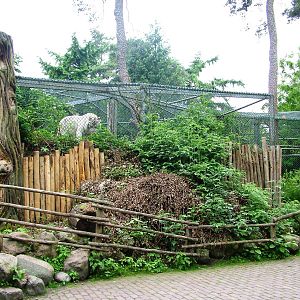 Rear View of Tiger Exhibit at Amersfoort, 01/06/12