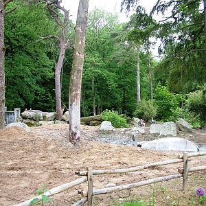 Rhino Exhibit at Amersfoort, 01/06/12