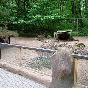 Mara Paddock at Amersfoort, 01/06/12