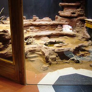 Terrariums at Amersfoort, 01/06/12