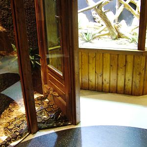 Terrariums at Amersfoort, 01/06/12