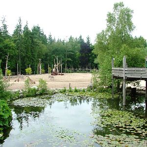 African Paddock at Amersfoort, 01/06/12
